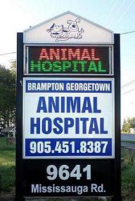 Brampton Georgetown Animal Hospital - Veterinarian in Brampton, ON Canada  :: Office Tour